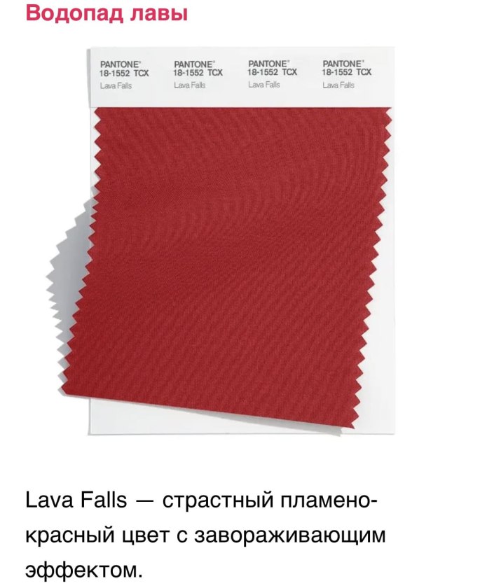 Тренды в цветах 2022