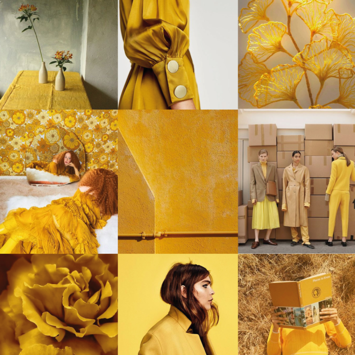 Pantone 2020 осень зима