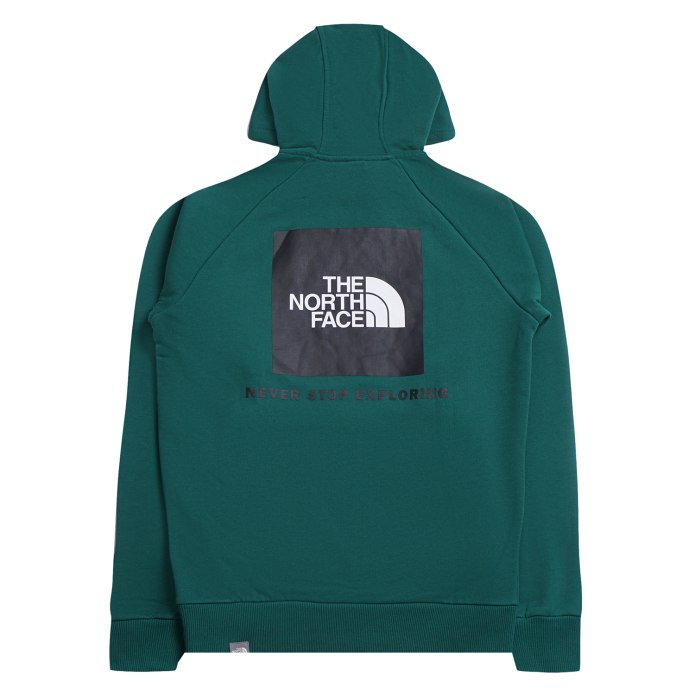 Кофта худи the North face
