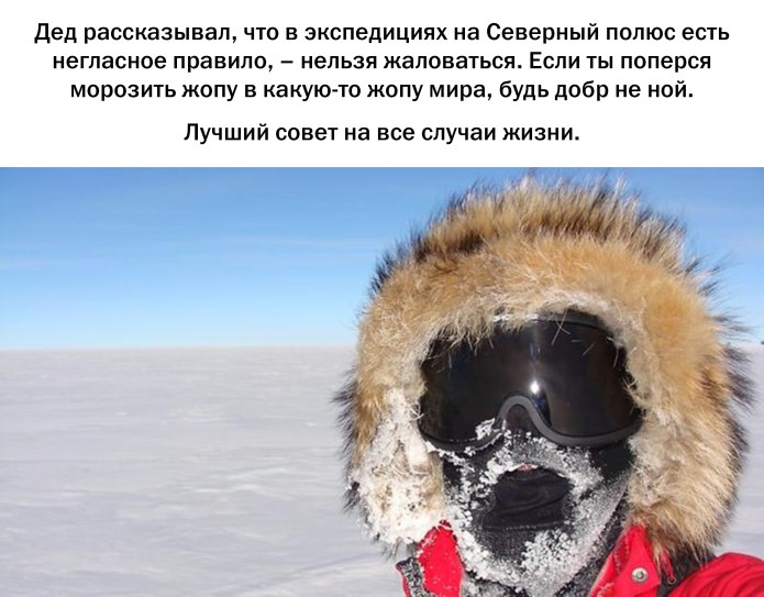 Валдис Пельш Антарктида