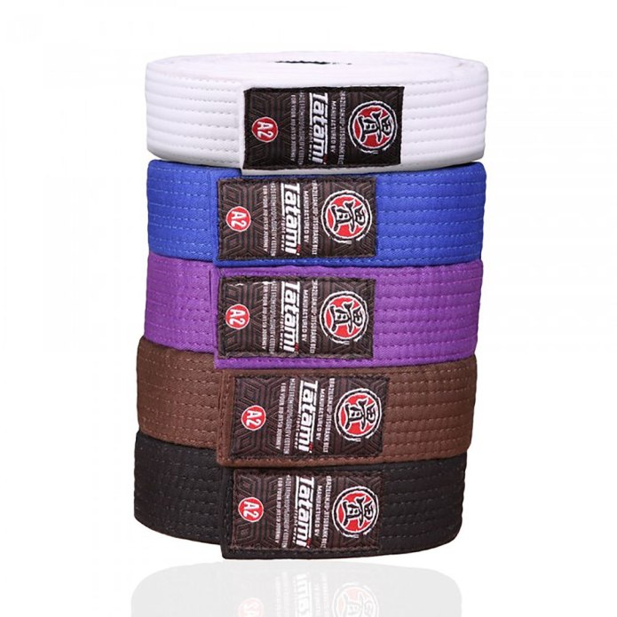 Пояс Tatami Adult BJJ Rank Belt Blue a2