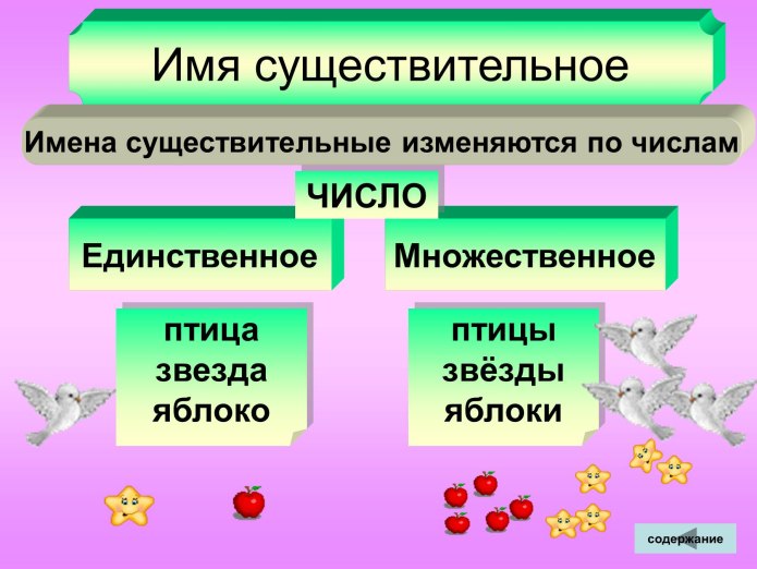 Множественное число имен существительных 2 класс