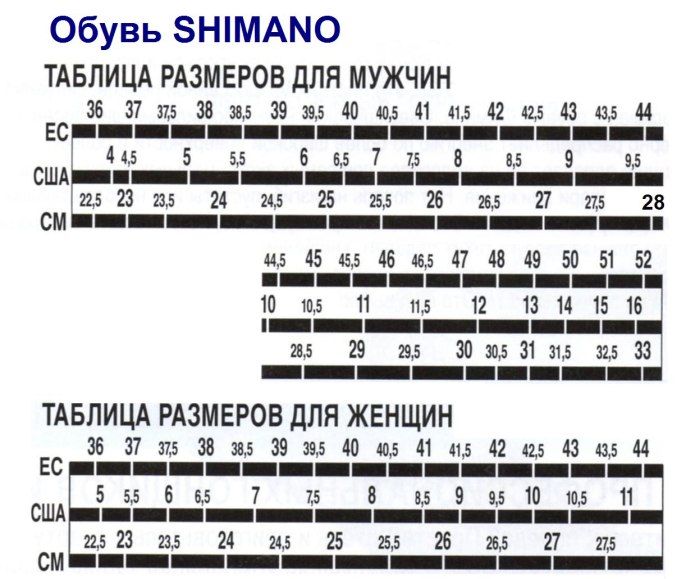 Размерная сетка лыжных ботинок Salomon