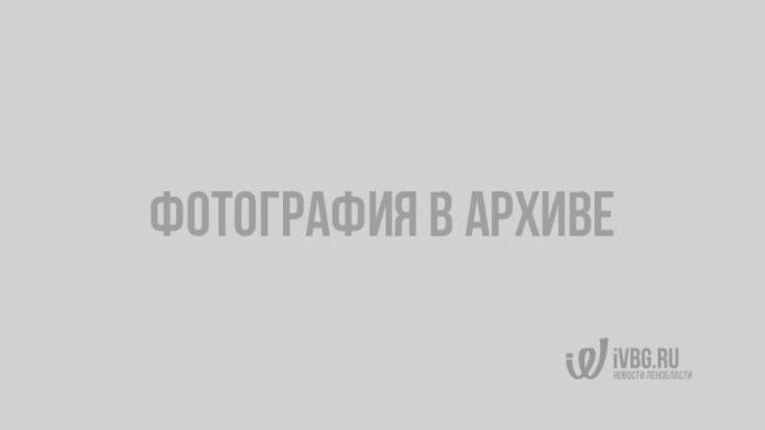 Грязные джинсы