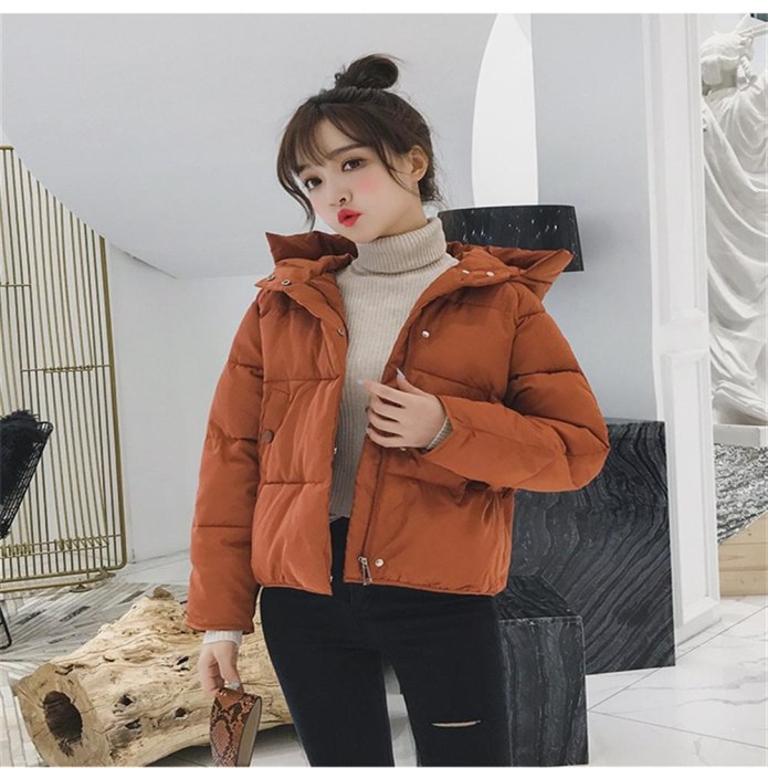 Sofi line длинная куртка Корея