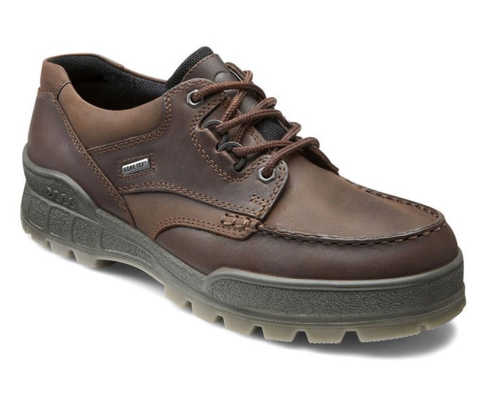 Ecco track 2 Gore-Tex