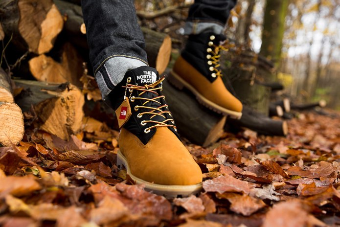 Ботинки Timberland x the North face