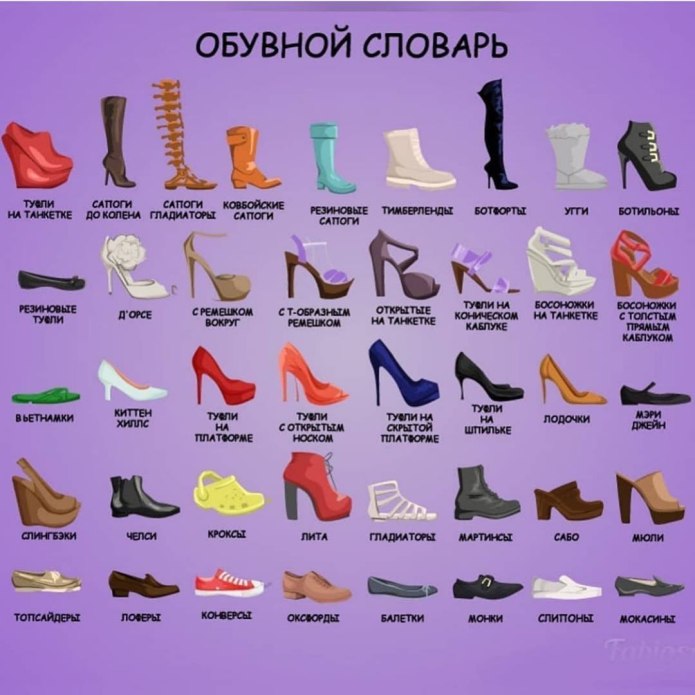 Виды ботинок женских