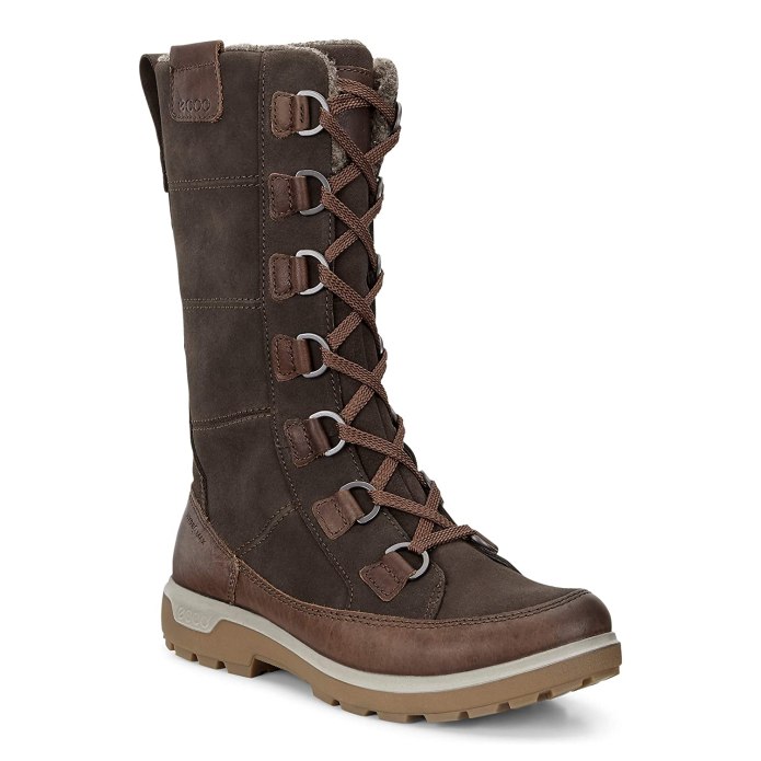 Сапоги adidas Terrex Choleah Boot