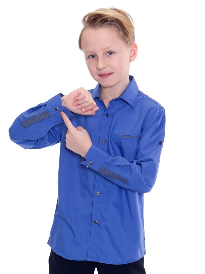Button down Shirt and button up Shirt