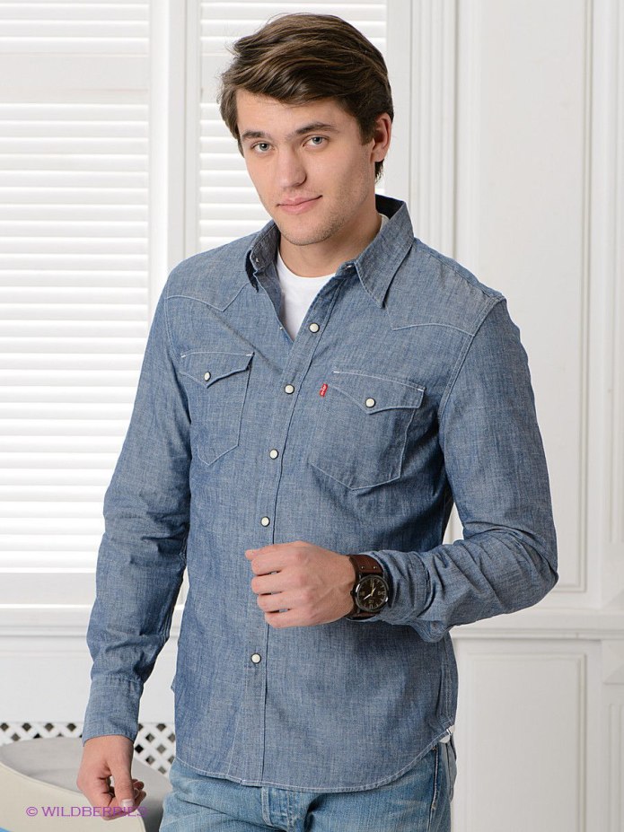 Levi's® / рубашка Barstow Western