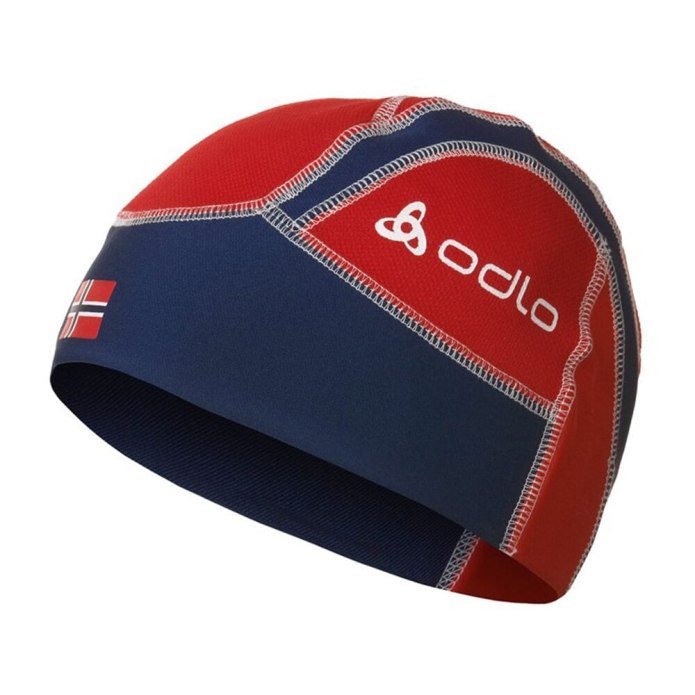 Шапка Loffler Windstopper