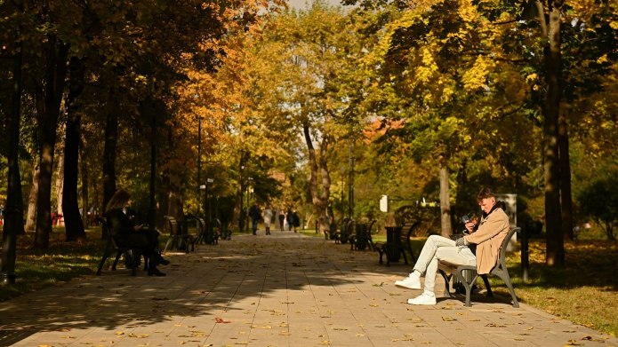 Прогулка по парку