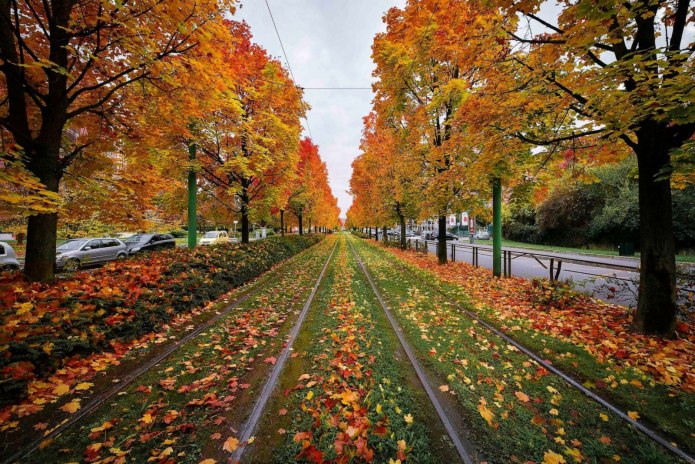Москва осенью
