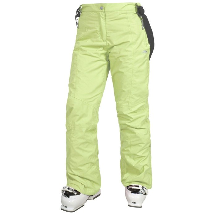 Брюки горнолыжные Fischer Ski Pant g13113