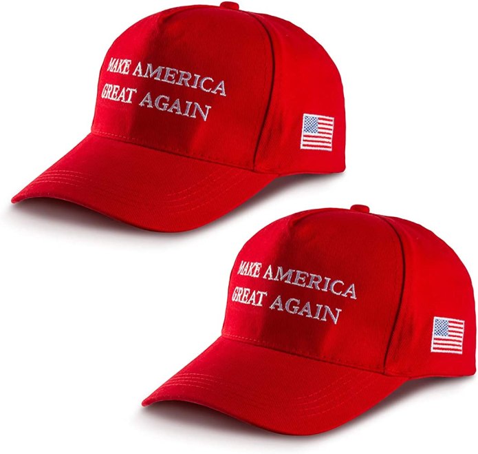Make America great again hat
