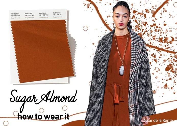 Sugar Almond Pantone цвет