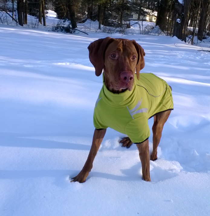 Hurtta Frost Jacket