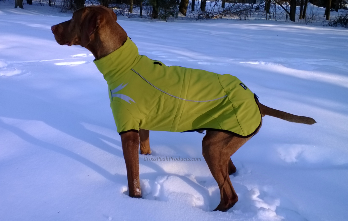 Frost Jacket Hurtta боксер