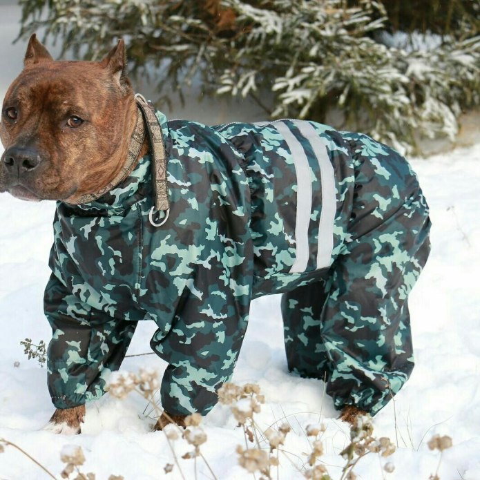 Комбинезон для собак Rukka Thermal overall