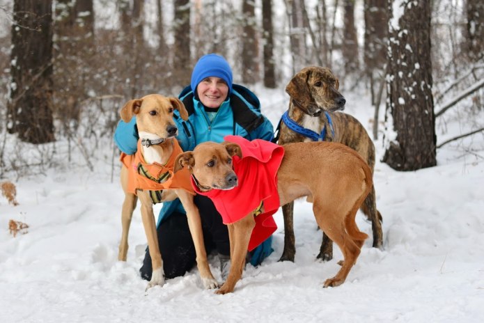 Попона Bravehound
