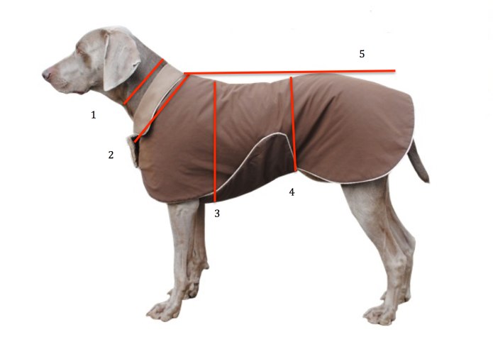 FORMYDOGS комбинезон чихуахуа