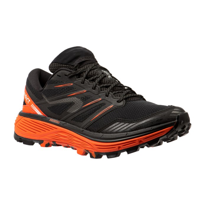 Salomon sense Ride 4