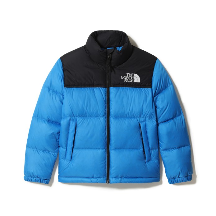 Куртка 1996 Retro Nuptse