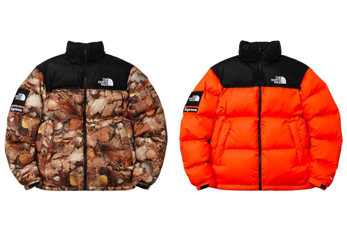 The North face Supreme пуховик