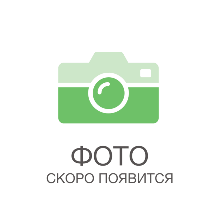 Леруа Мерлен галоши женские