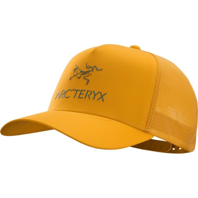Arcteryx кепка дальнобойщика