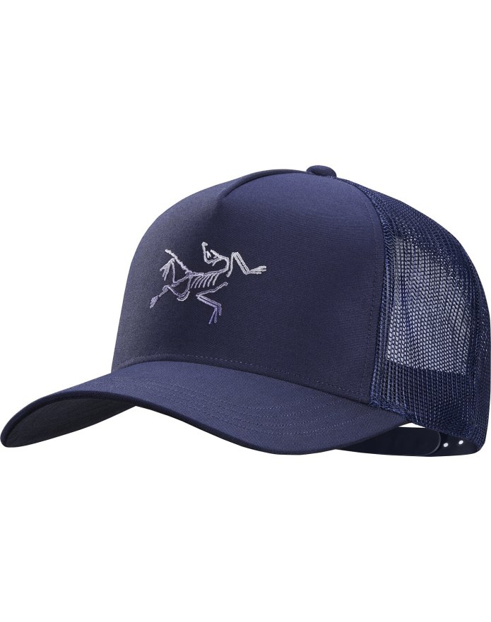 Кепка Arcteryx Bird