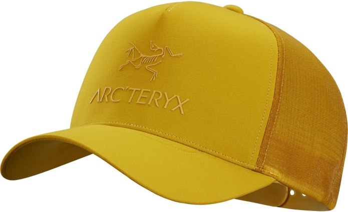 Кепка мужская Arcteryx