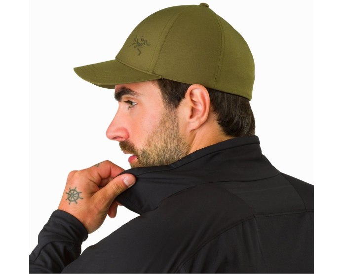 Кепка Arcteryx polychrome Bird Dark Wonderland