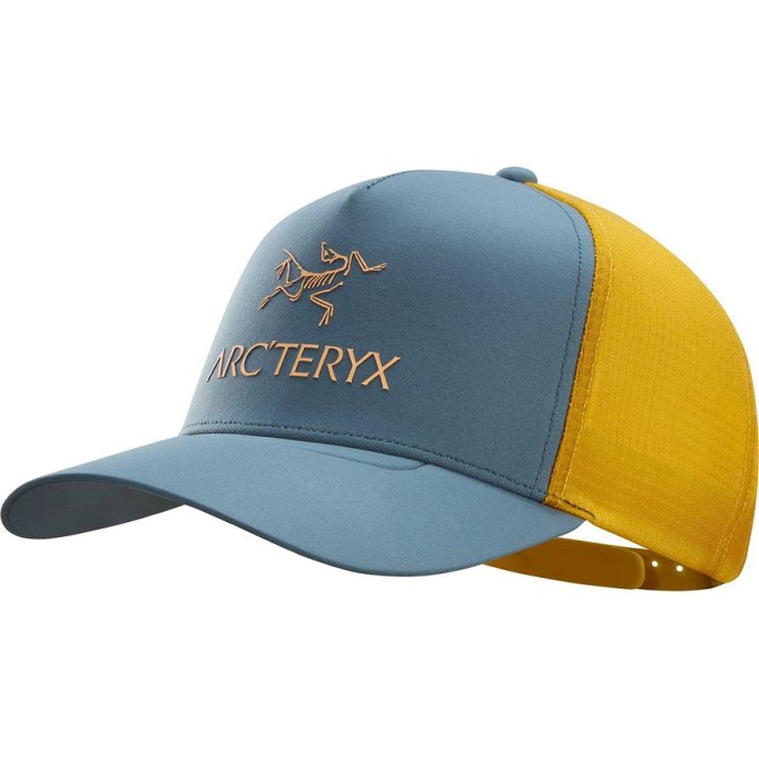 Кепка Arcteryx Bird