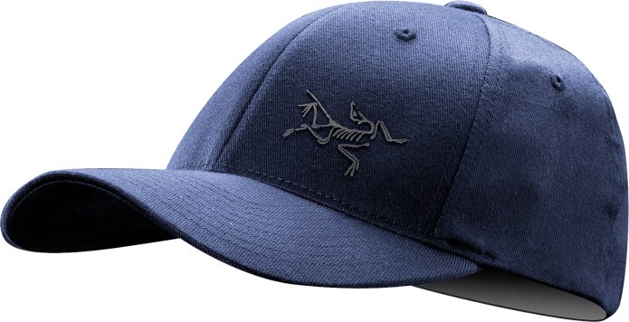Кепка Arcteryx Bird