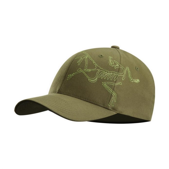 Кепка Arcteryx polychrome Bird Dark Wonderland