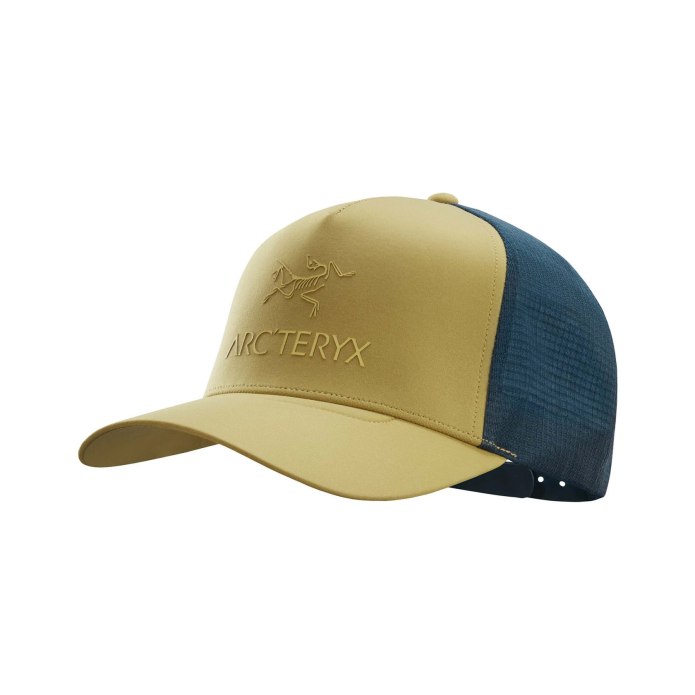 Панама Arcteryx Sinsolo