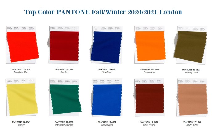 Pantone 19-1662 Samba — Самба