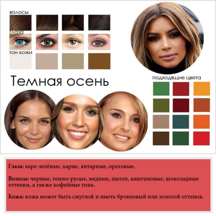 Цветотип холодная осень палитра