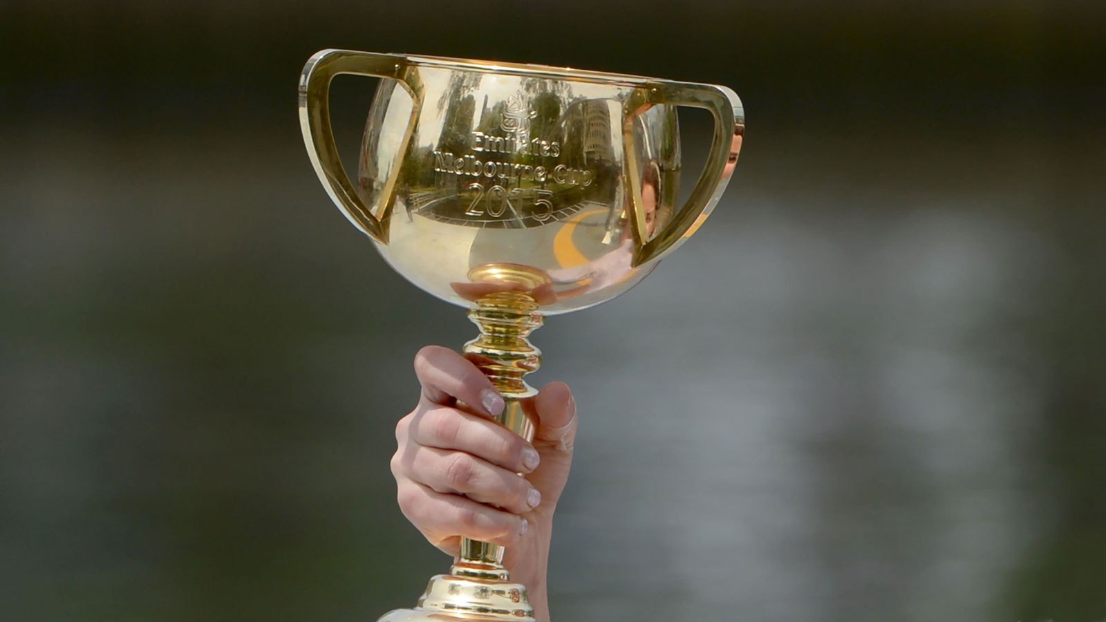 Champion cup вк