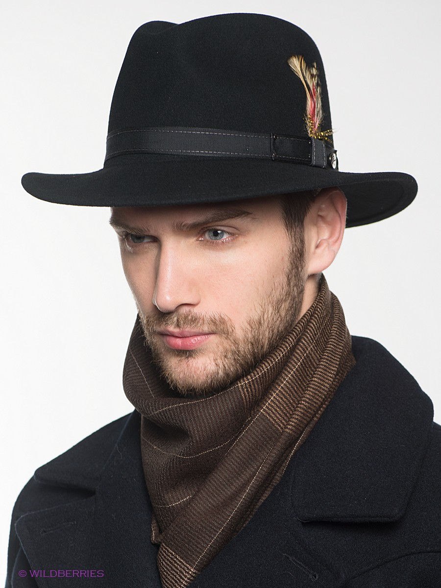 Купить шляпу мужскую с полями. Бизон шляпа мужская арт.11295219. Головные уборы для мужчин. Модные мужские шляпы. Шляпа с полями мужская.
