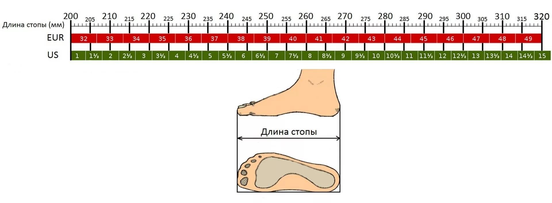 Шкала размеров ноги в сантиметрах
