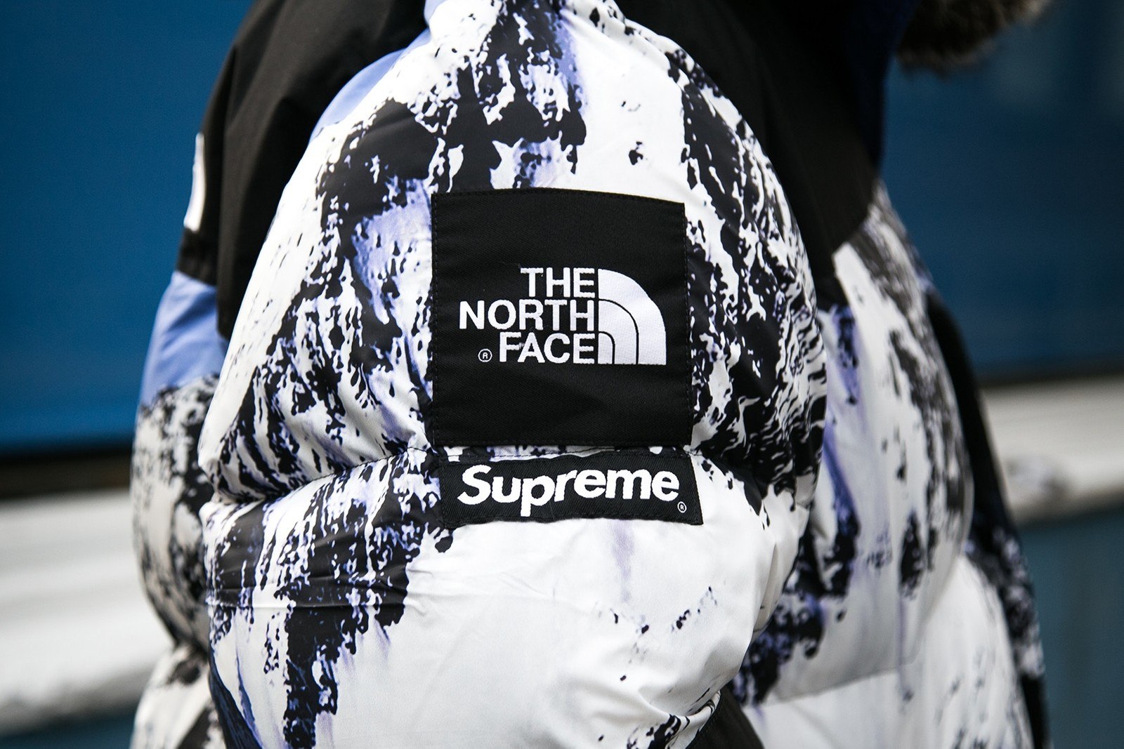 Картинка the north face