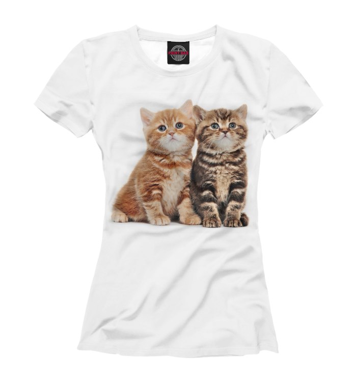 Футболка кот