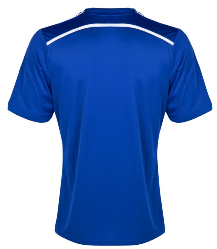 Футболка Joma синяя сзади