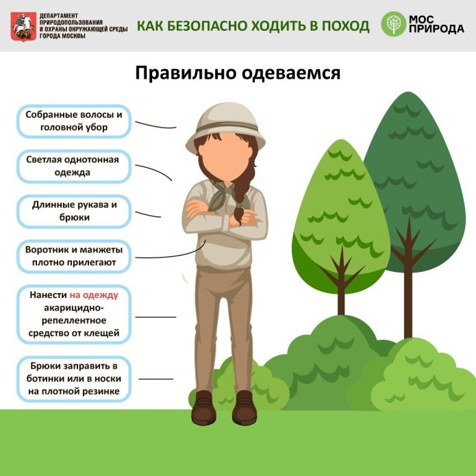 Вещи для похода