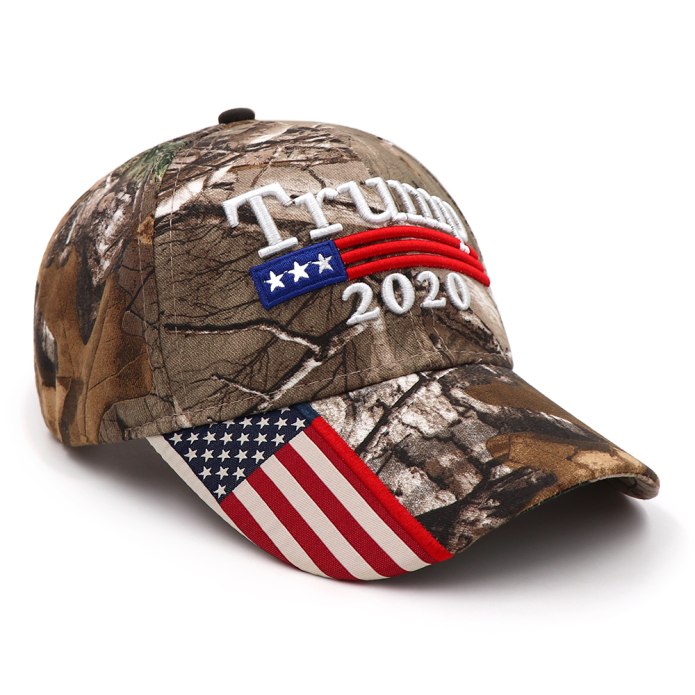 Maga hat 2020