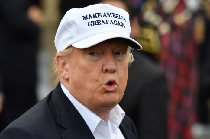 Трамп в кепке make America great again