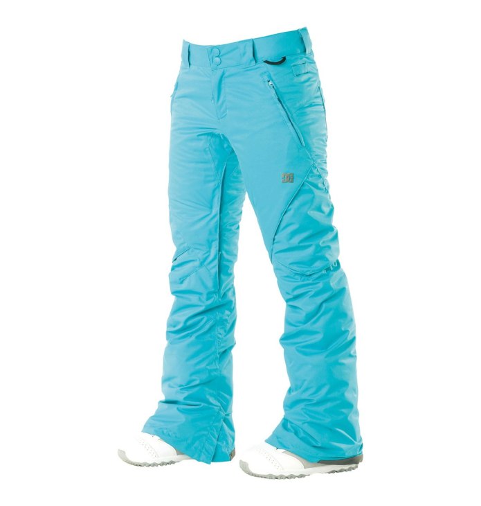 Штаны сноубордические Snow Gear